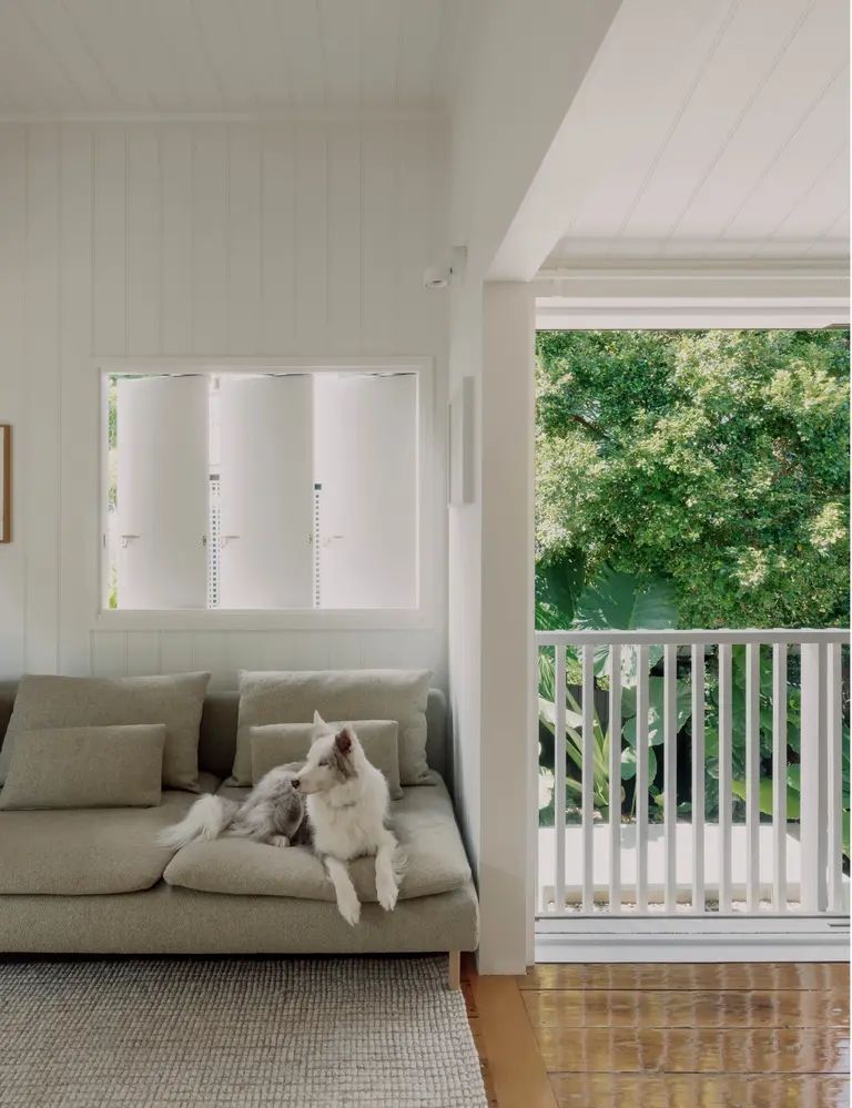 Bulimba Suburb Profile: Buyer Insights, Lifestyle and Market Trends