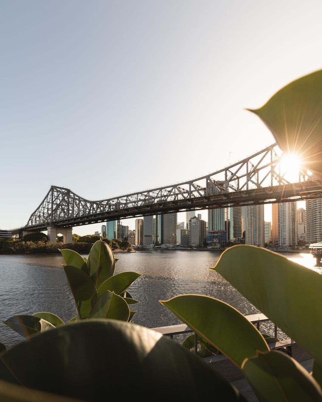 Brisbane Property Market Update – April 2026