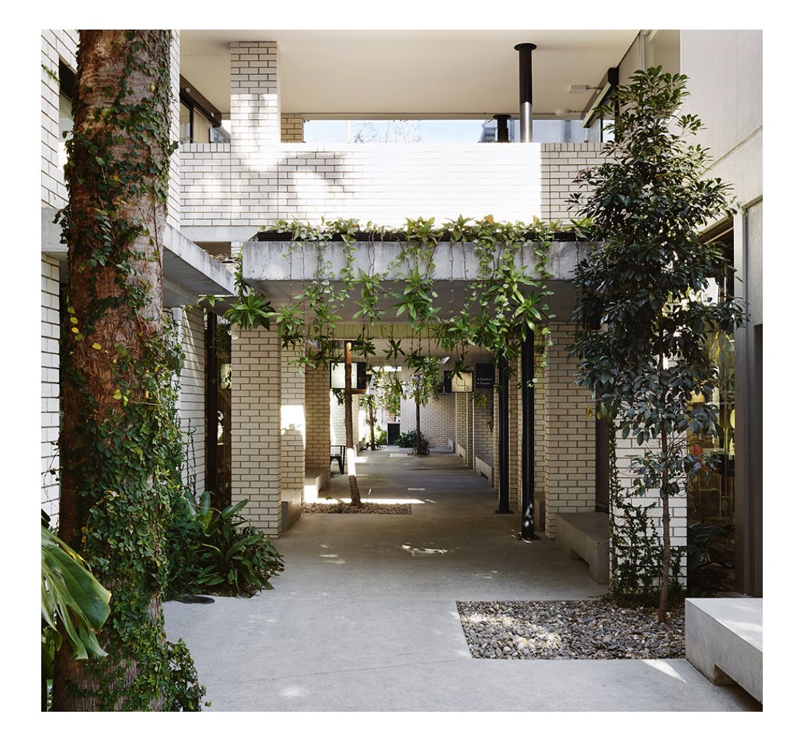 Newstead Suburb Profile: Market and Lifestyle Overview