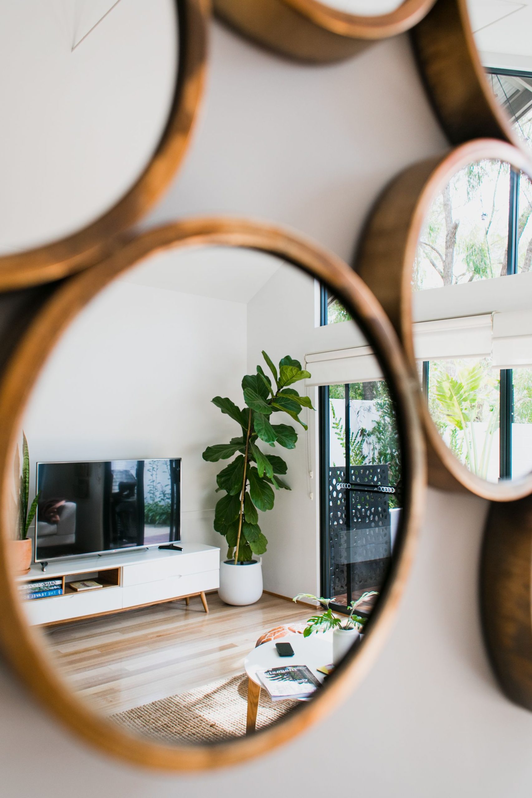 Brookfield Suburb Profile: A Guide for Brisbane Property Buyers